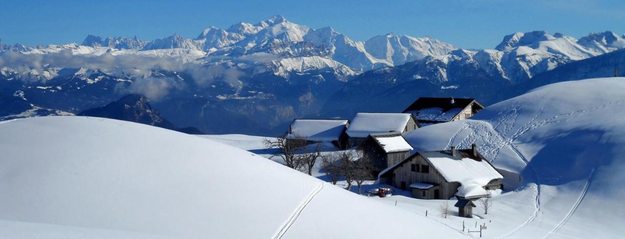 Les Chalets De Ludran Viuz-en-Sallaz Exterior foto